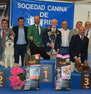 International Dog Show Tenerife 2018