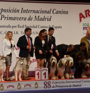 IDS Madrid 2016
