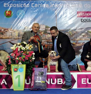 IDS Oporto 2017 (Portugal)