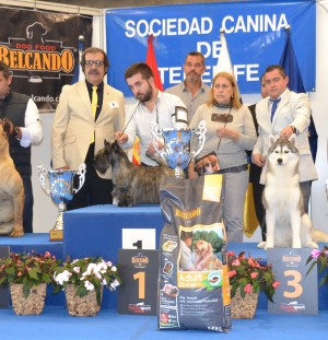 International Dog Show Tenerife 2017