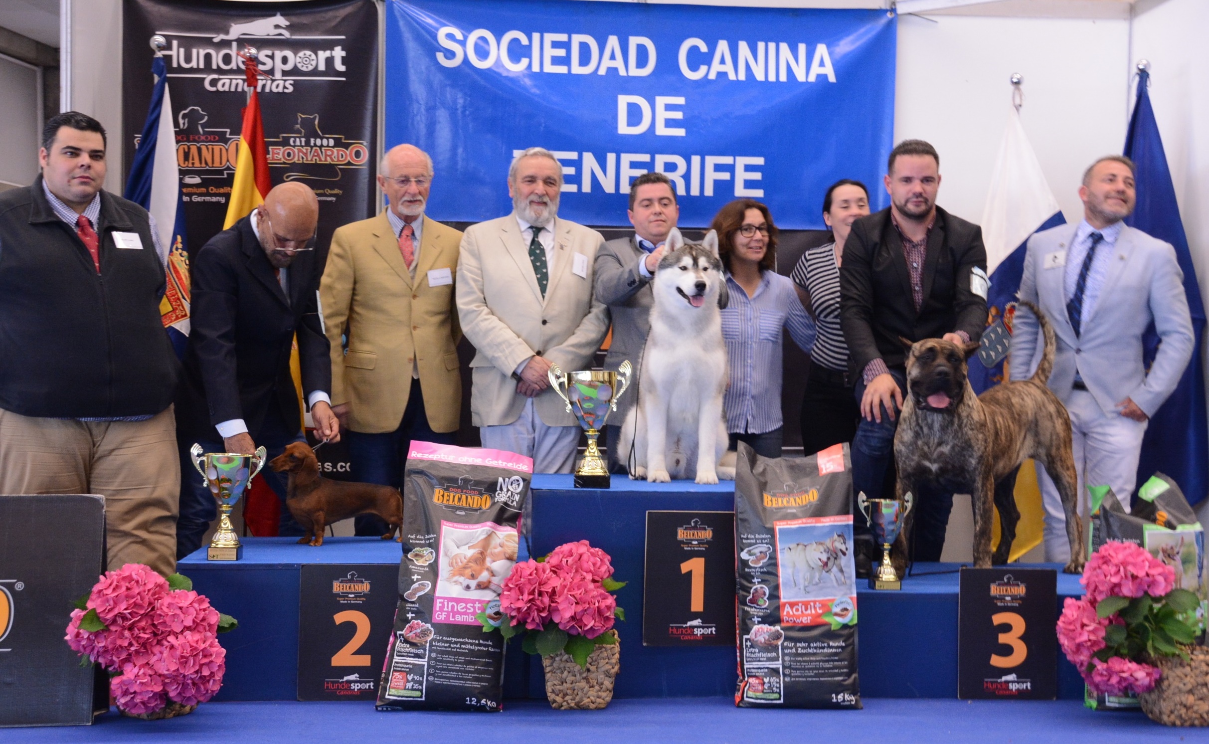 National Dog Show Tenerife 2018