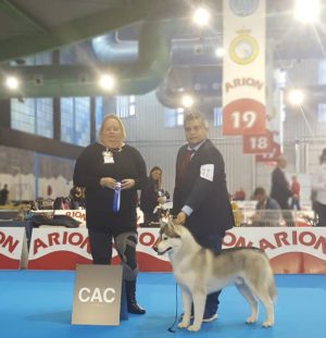 Monografica Especial Perros Nórdicos CEPN 2018