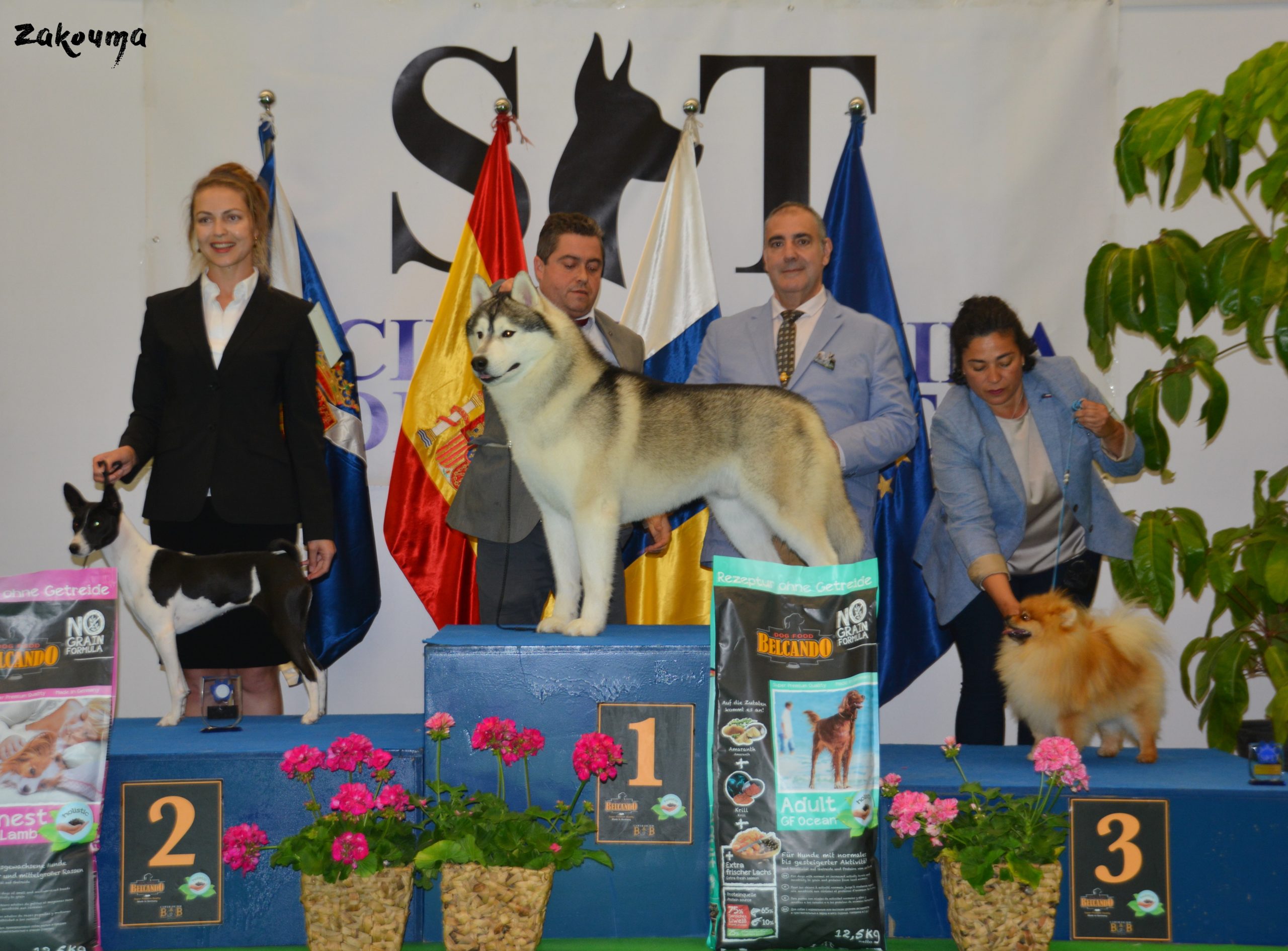 Exposicion Internacional Tenerife 2019