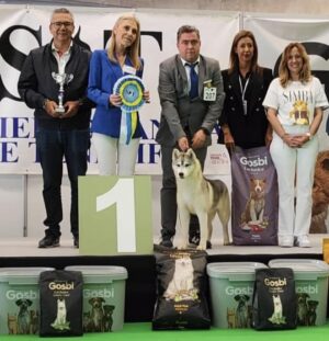 INTERNATIONAL DOG SHOW TENERIFE